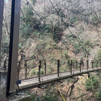 実は、この吊り橋を渡るのは初めて