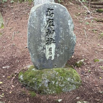 高座神社の奥が権現山の模様。