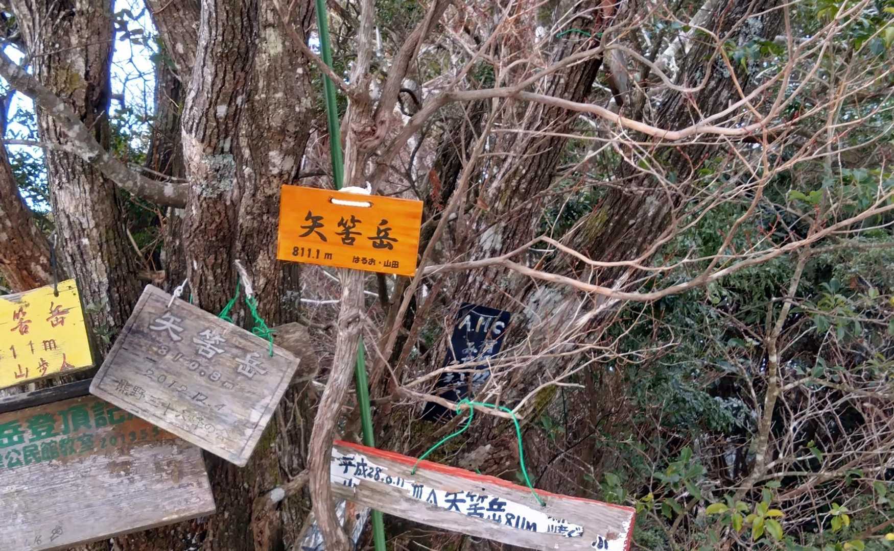 矢筈岳 往復コースの写真