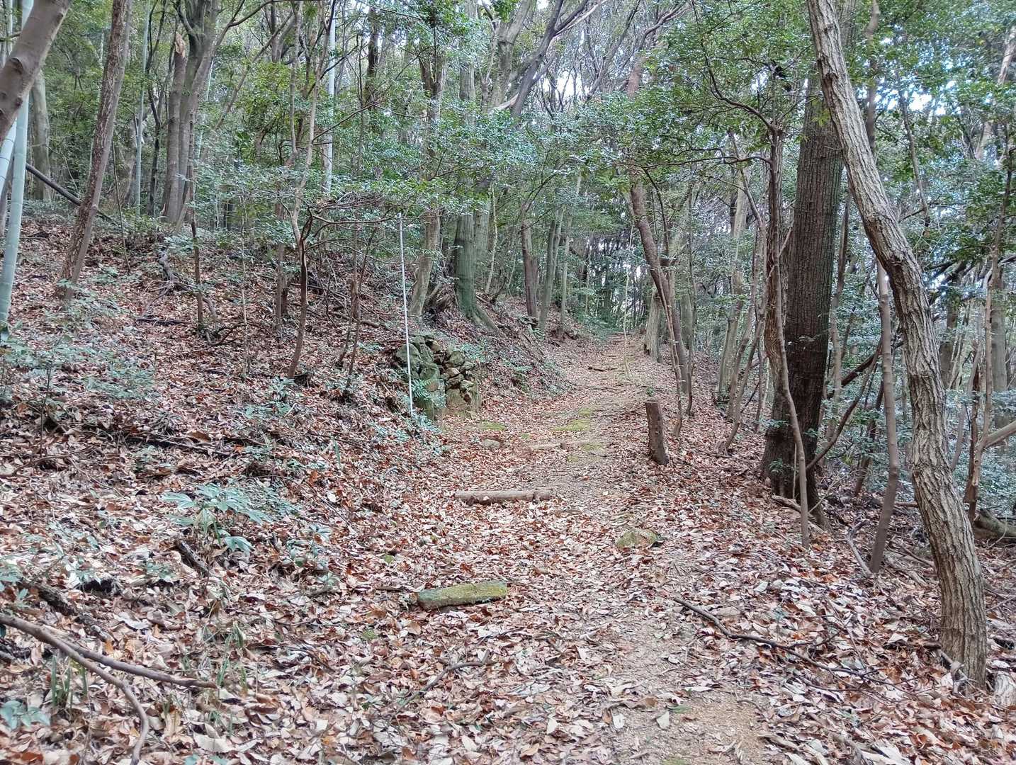 緩やかな登りを🚶