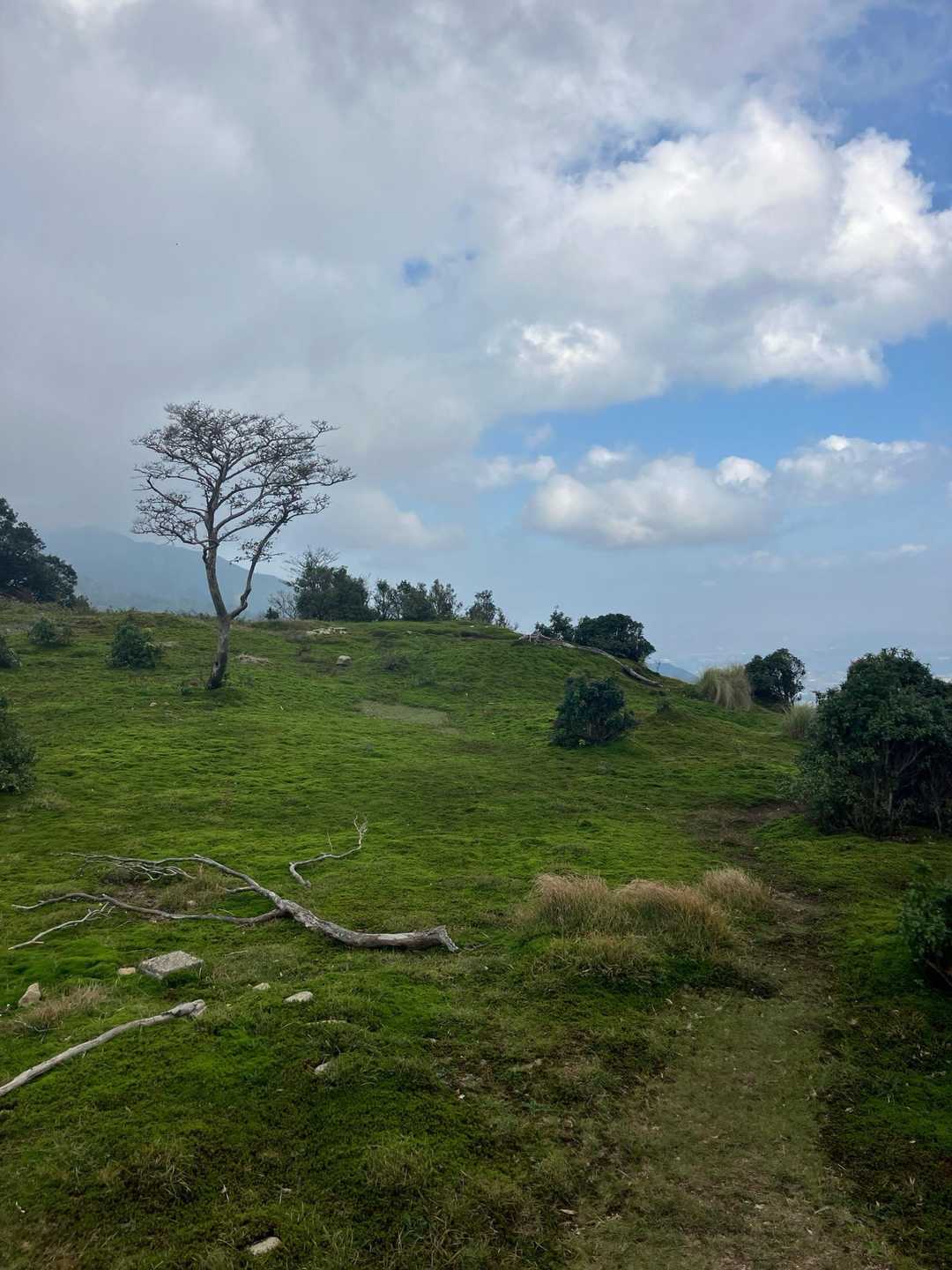 朝明登山口-中峠-金山-羽鳥峰 往復コースの写真