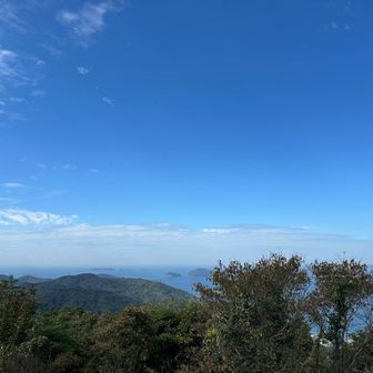 展望台から📸