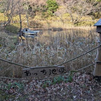 あっちに行かなかった😄