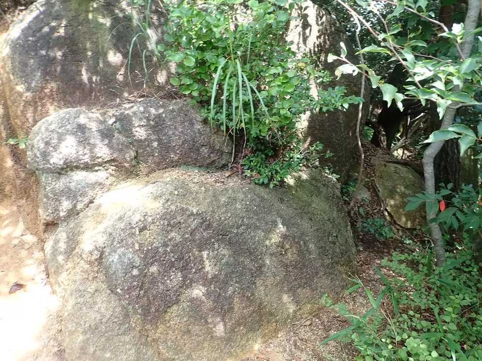 なかみ山の写真