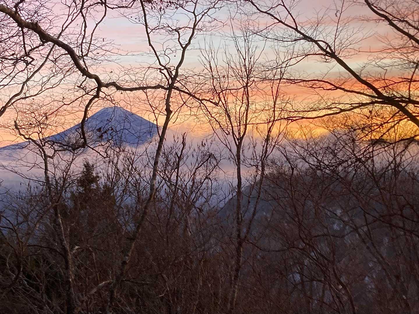 十枚山（十枚山登山口）＜十枚峠＞の写真