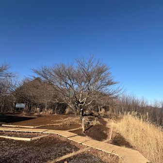 なんとか頂上ついた😁
青空だあ！！！
最後の登りはラストスパート頑張った💪