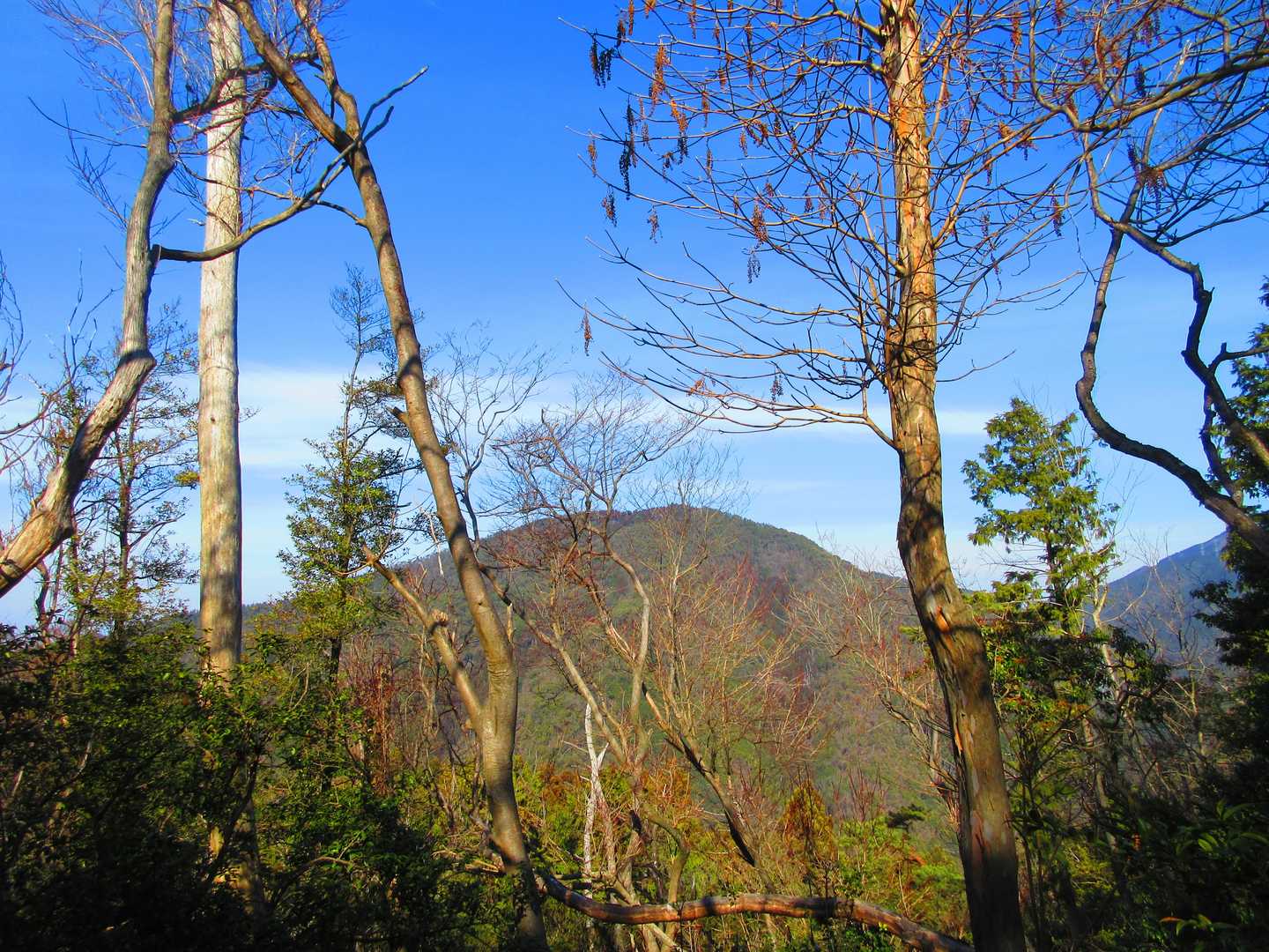 牛松山