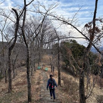 天気いいな☀️