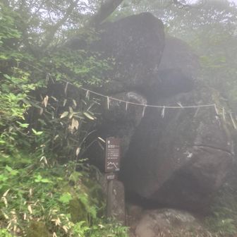 ガマ石