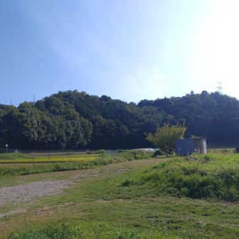 緑苑山をのぞむ