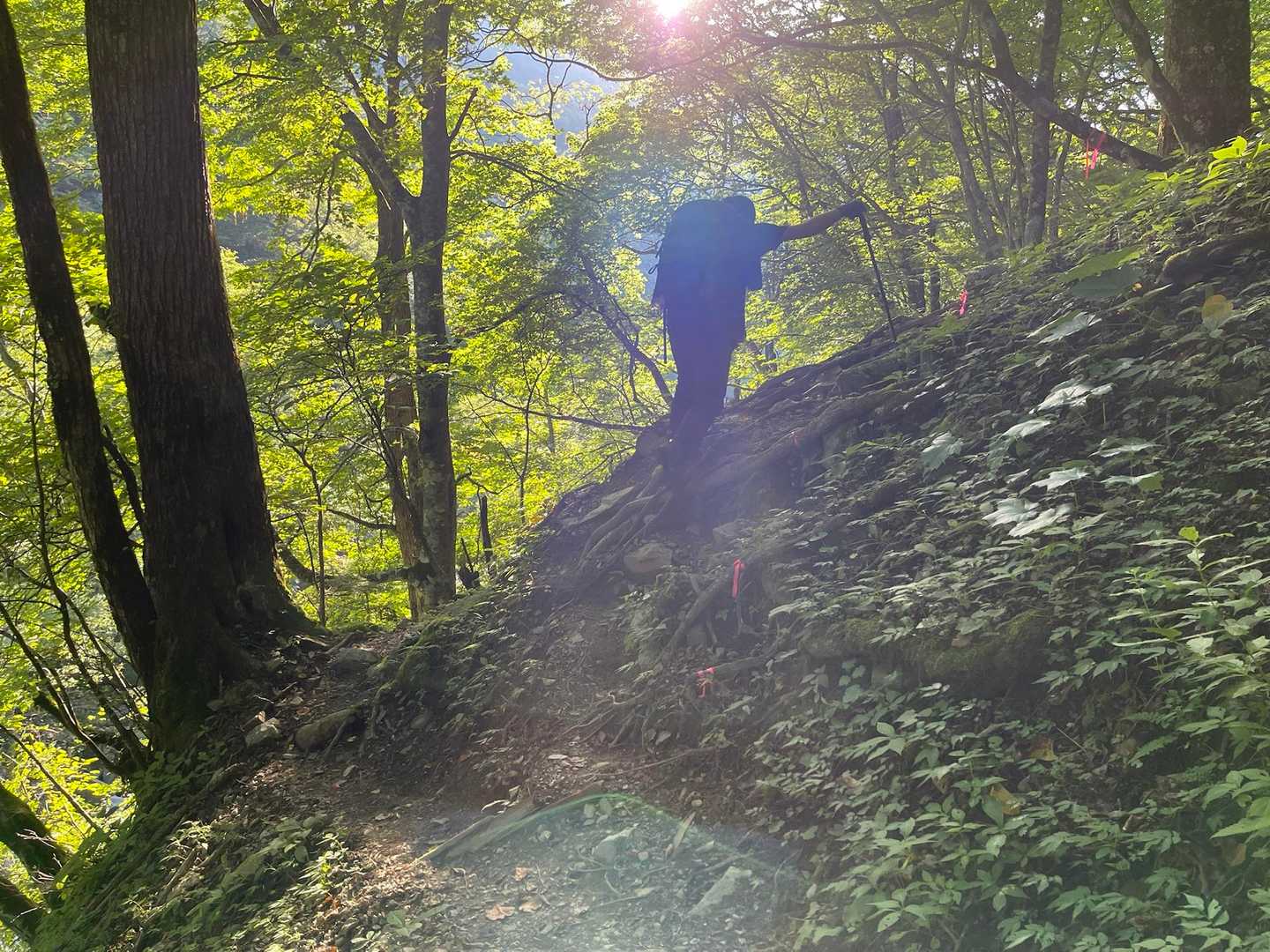ここ、真っ直ぐじゃなくて、右へ登ります。
ピンテのある方。
この辺、高い細いトラバース
