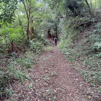 珍しくハイカーの若者とすれ違う