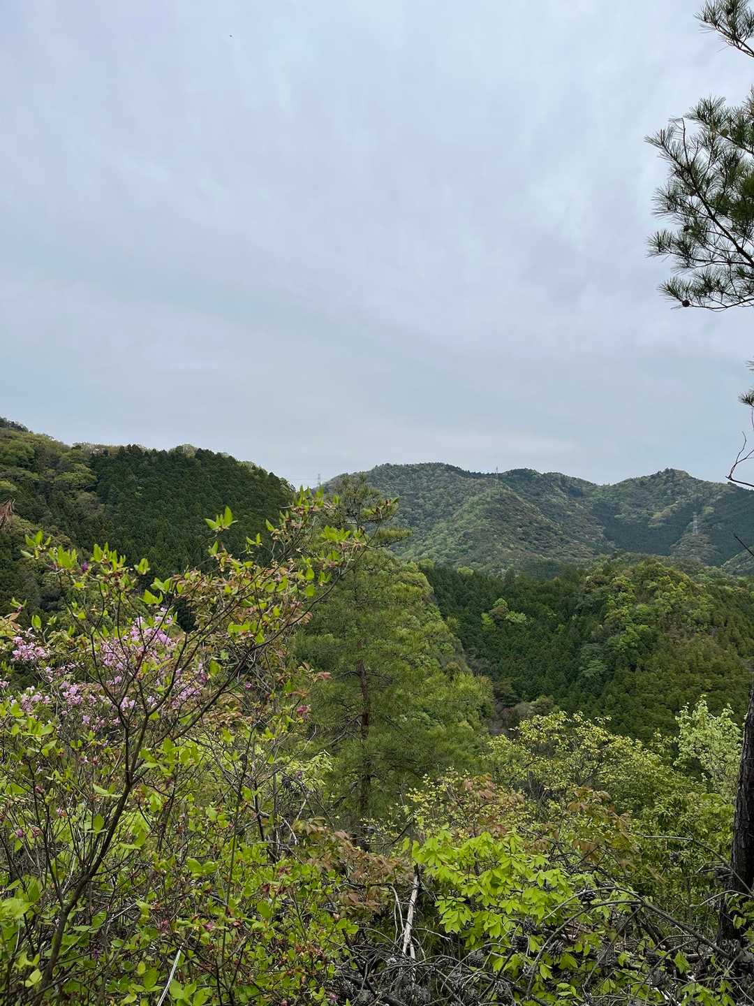 歩いてきた山々