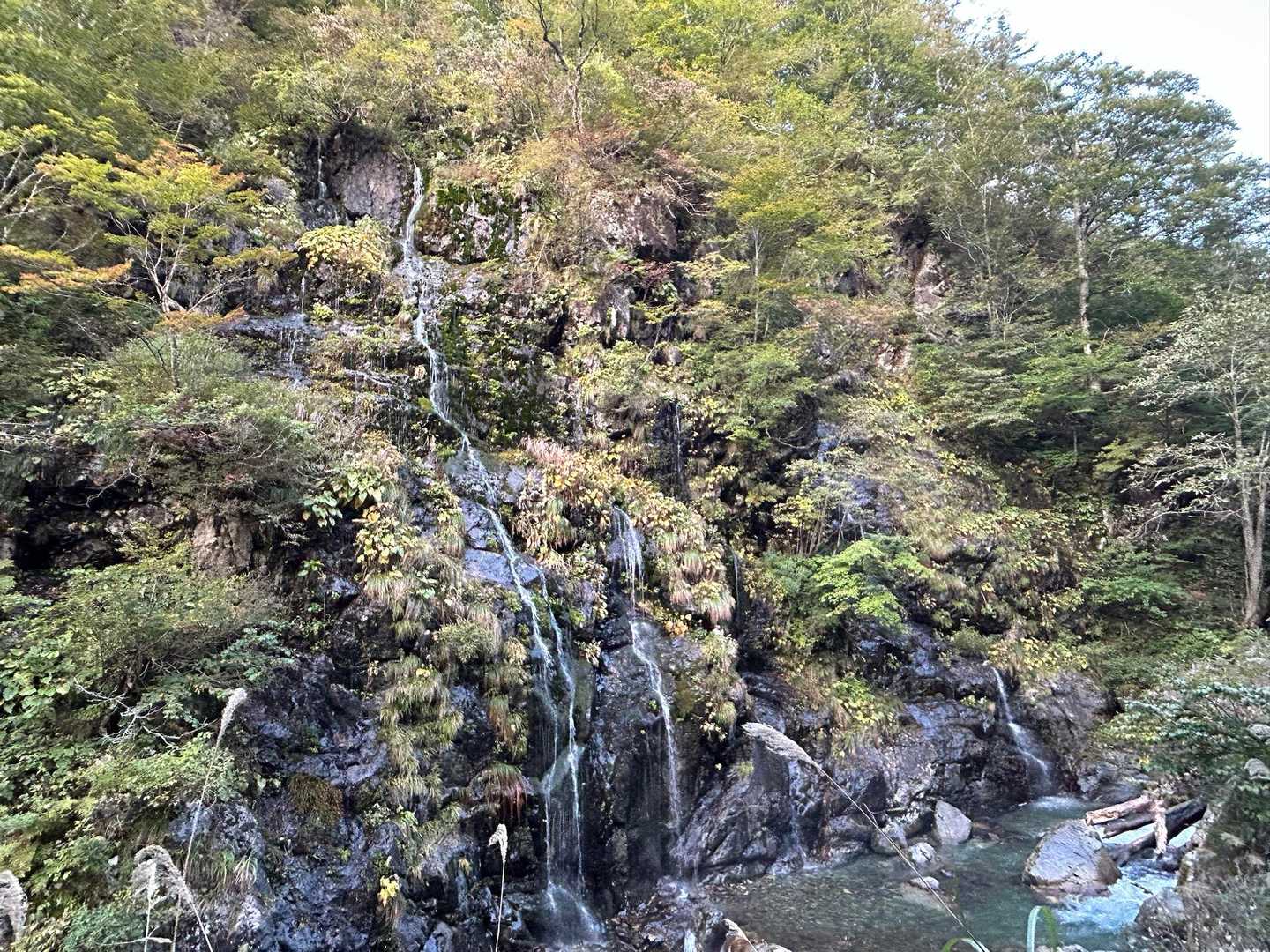 沢沿いの滝を見ながら涼しい道です🚶‍♀️

ハードな山行でした！お疲れさまでした