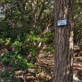 ドンピシャ、阿曽浅間山へ