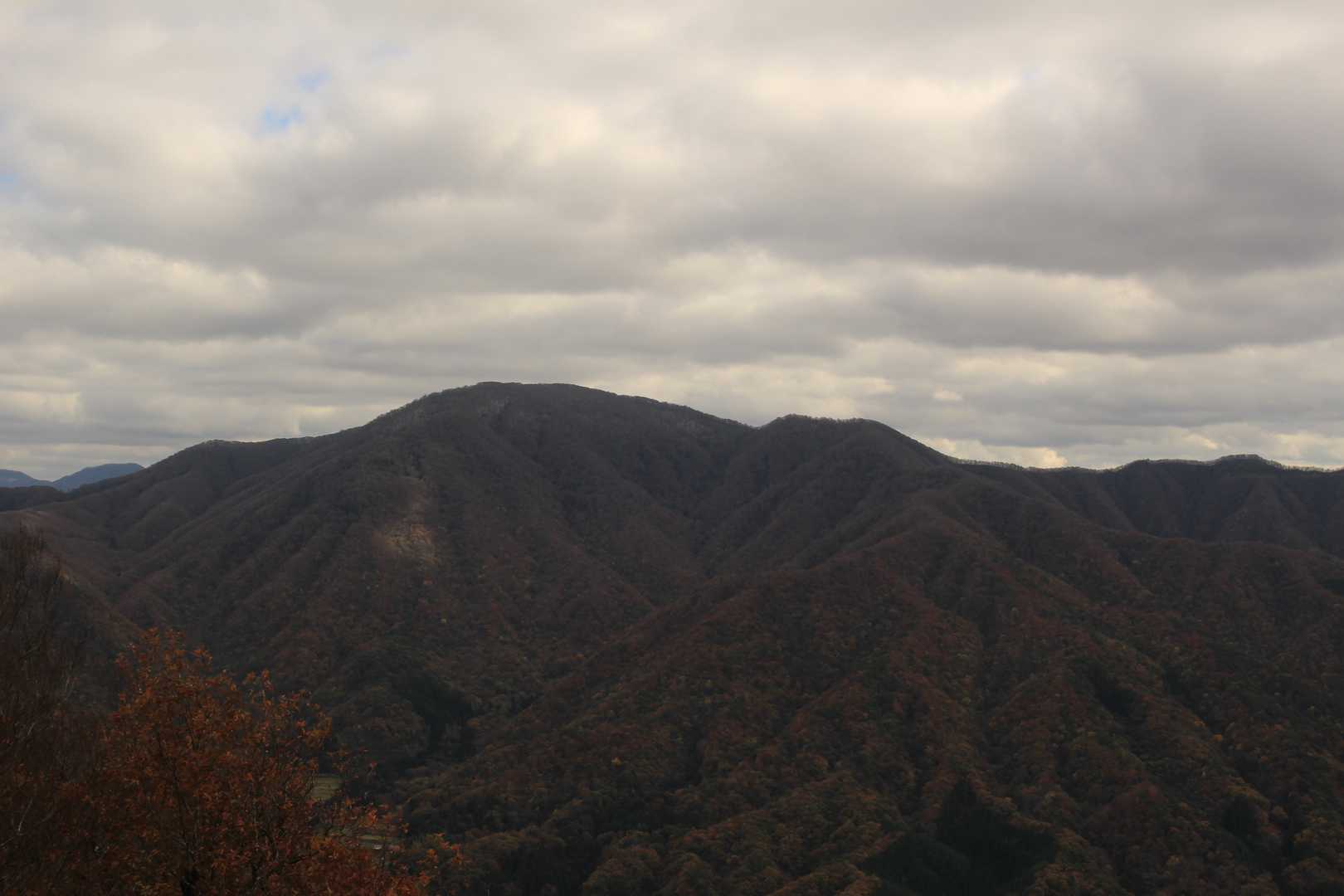 大万木山