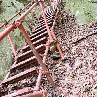 階段穴開いとる所あり！
