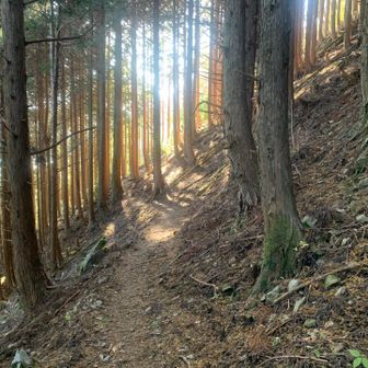 大股→三浦口間は道中だいたいこんな感じでした。