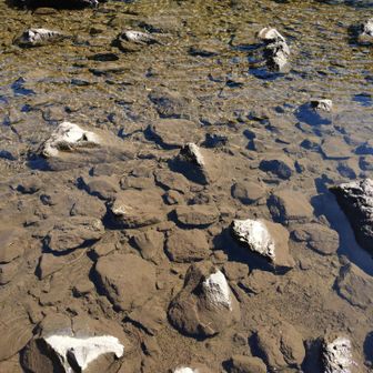 石が亀の甲羅模様だから名付いたとか
浅い池