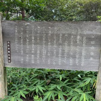 もうどうでもええ笑