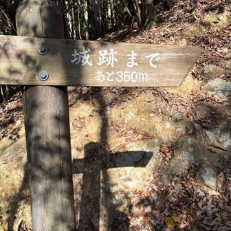 あと350m
意外と階段進みやすい