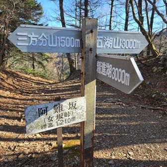 阿難坂（女坂峠）。駿河湾から甲府までマグロを運んだ街道です