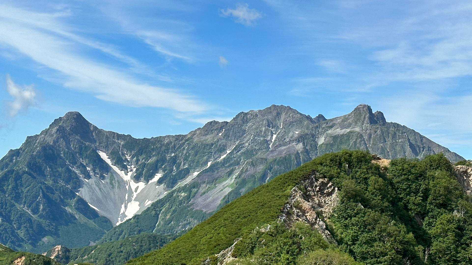 先程の写真をアップで！