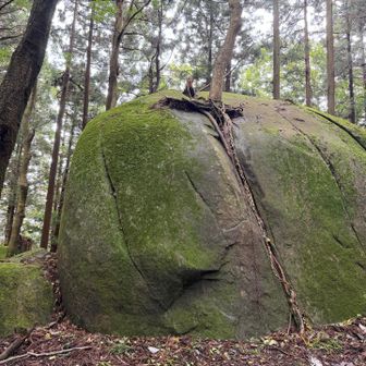 兜石