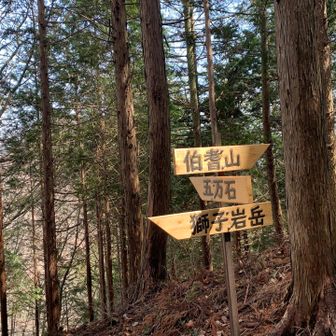 少し戻って、次は獅子岩岳。