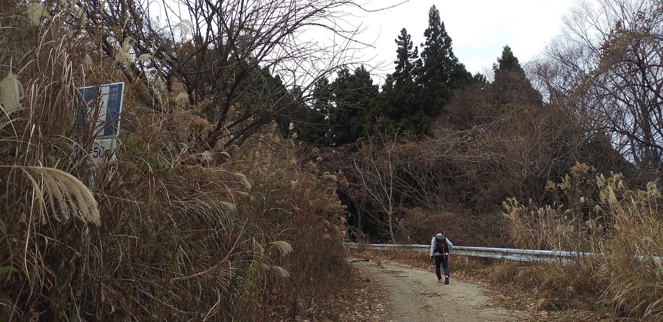 舗装路が終わったので路駐して歩きます🎶
