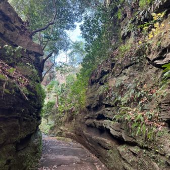 何度見てもすごい。