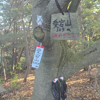 おつかれ山～⛰️