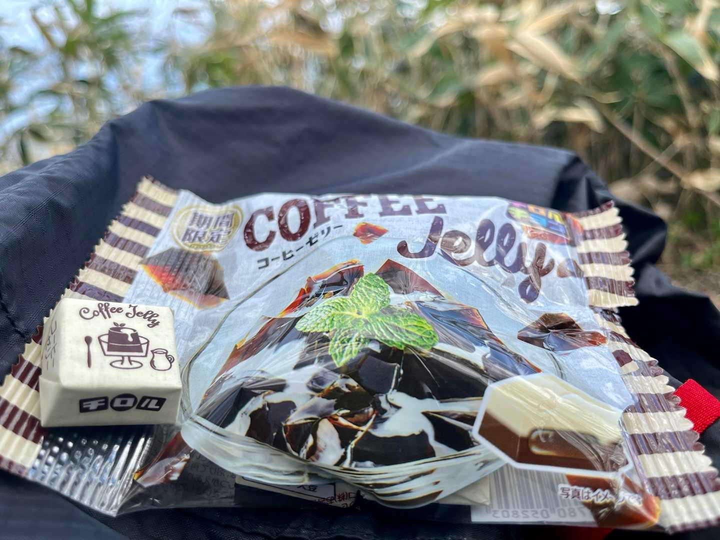 コーヒーゼリーチロルチョコで休憩☕️

見晴台だと思ってたところが見晴台じゃなかった🤣
まだまだ風不死のことわかってません🙇🏻‍♀️