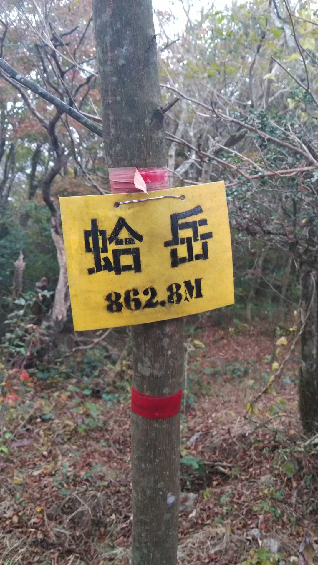 蛤岳到着