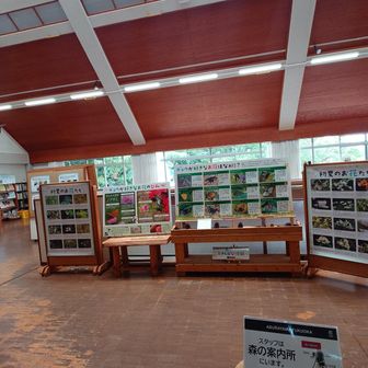 子供の頃
好きだったな…こういう所(無料)