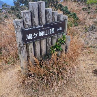 おっとと、ココは…鳩ヶ峰山頂なのね。