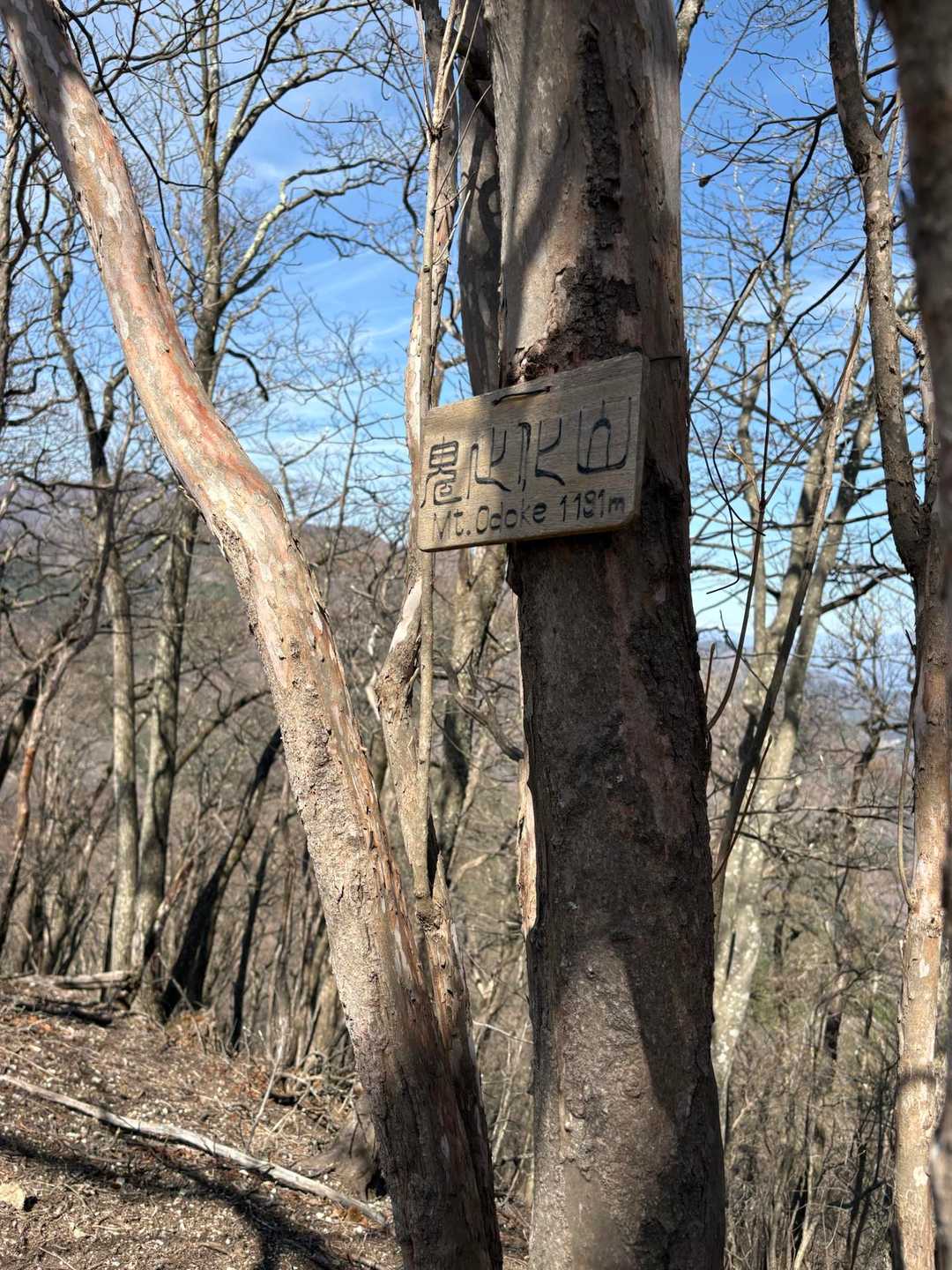 オドケ山って漢字だと💦