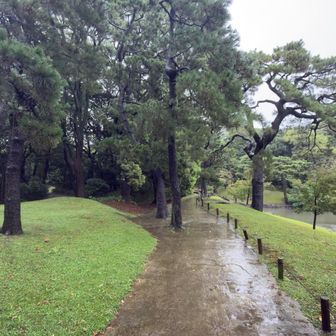この辺り八景山登頂4m