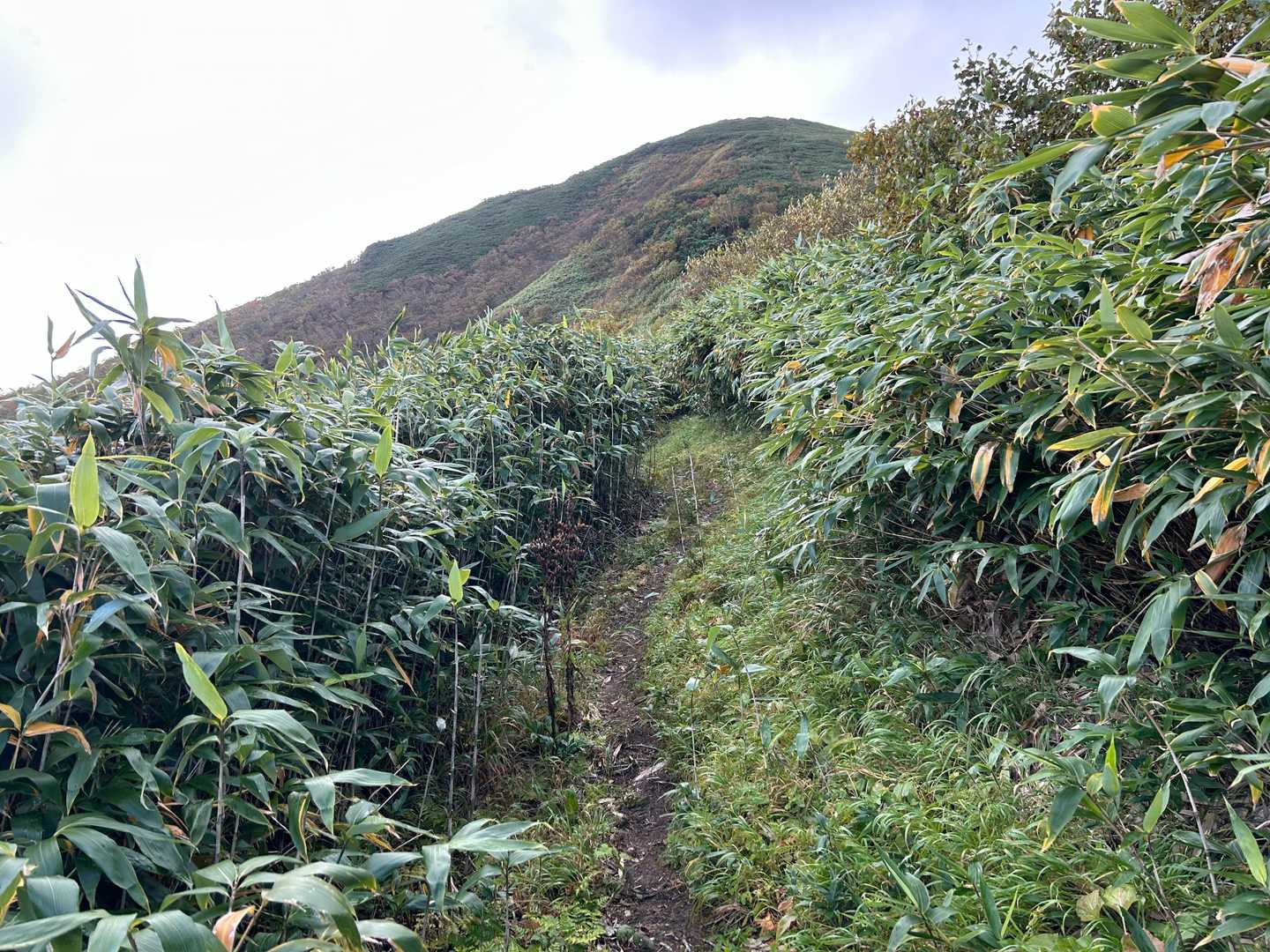 天塩岳への登り