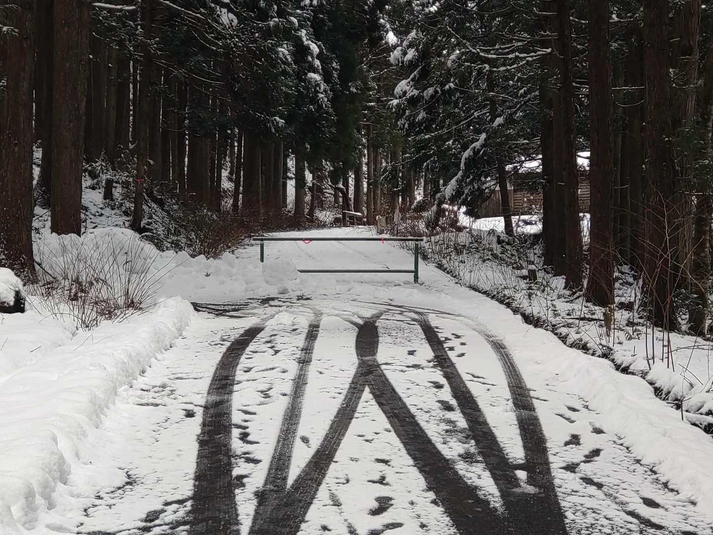車の轍は僕の車で、柵からちょっと離れた路肩に停めました