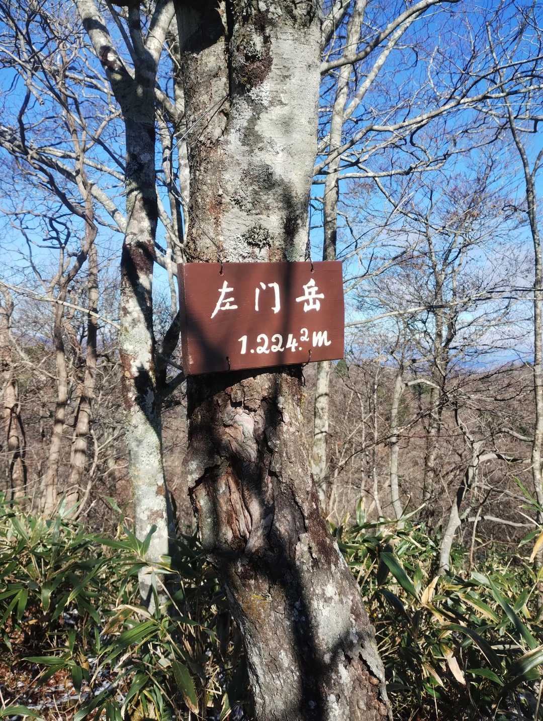 頂上到着