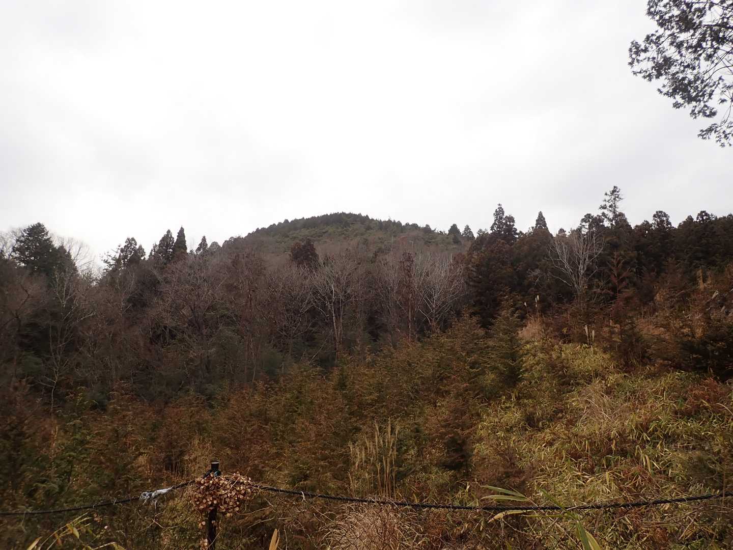 登山道からの池田富士