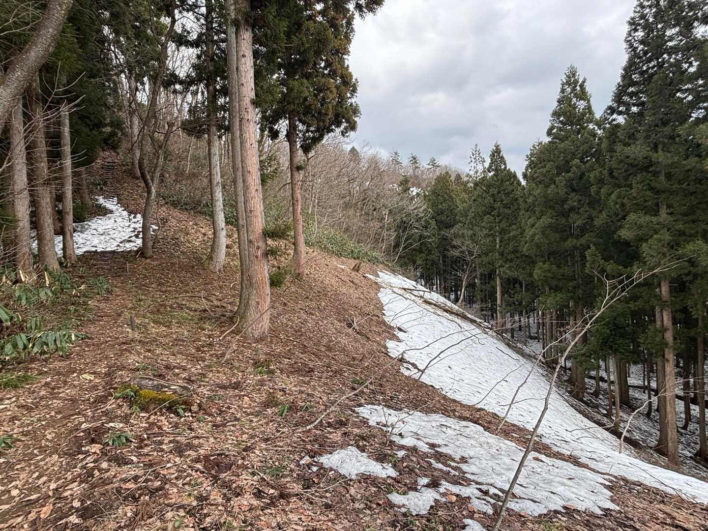六万騎山 周回コースの写真