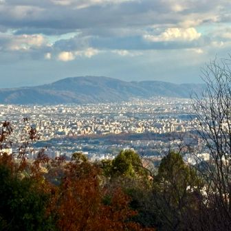 生駒山
いつもと見え方が違う感じ
下山は彩都方面へ
落葉で滑らないように慎重に