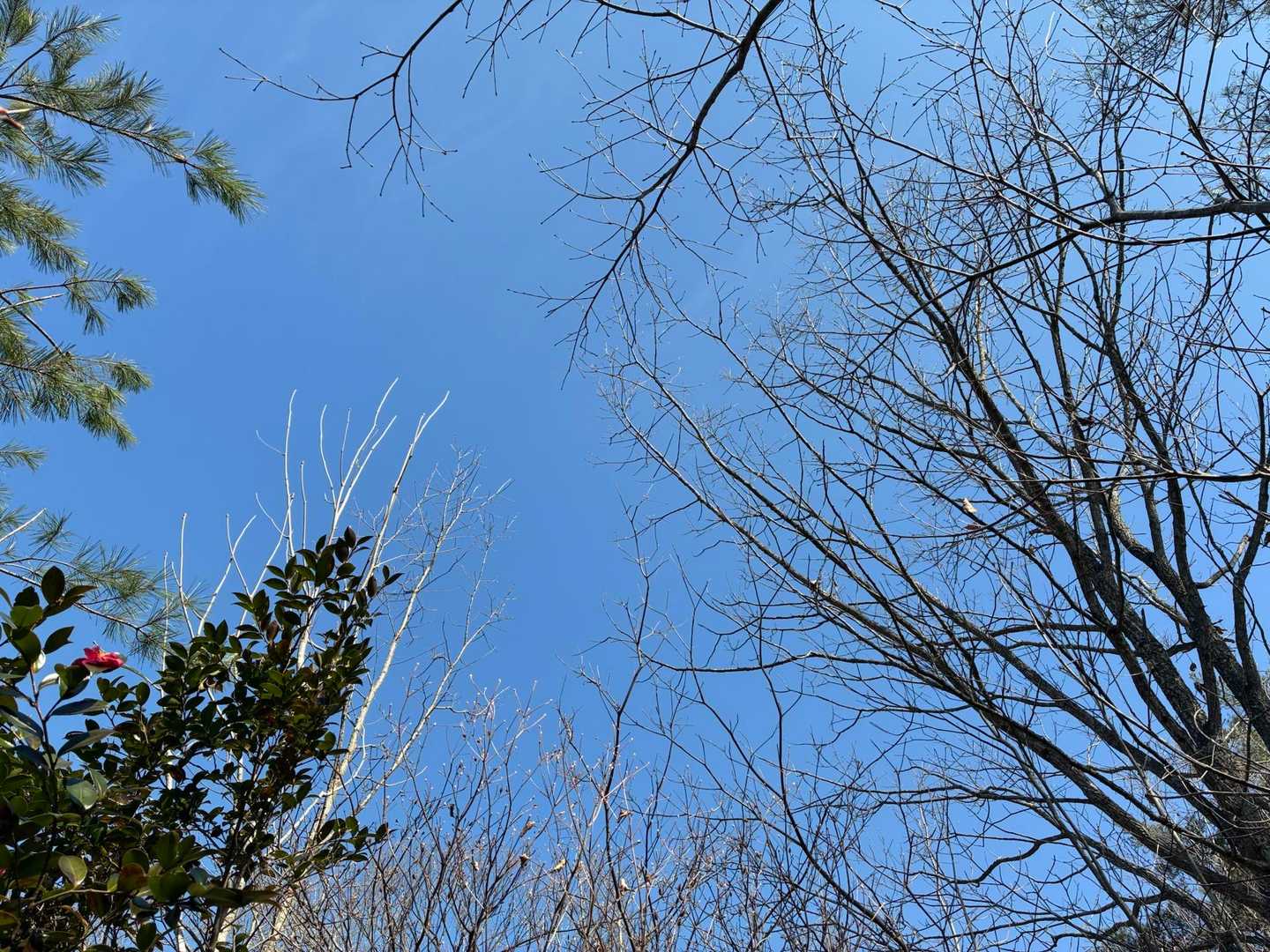 葦獄山ブルーだと チコやんさんは言うꉂ (๑ò ༥ ó )ﾌﾟｰ<ब<ब♡