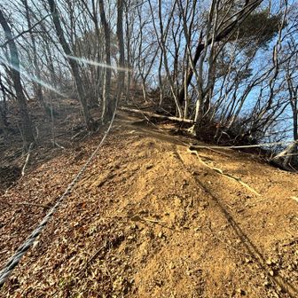 けっこう滑る激下り。下り終えて下から📷