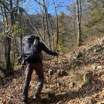 なかなかの急登