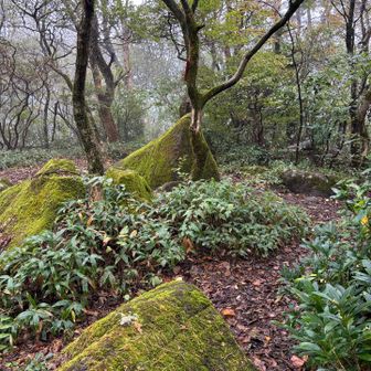 坊主山山頂