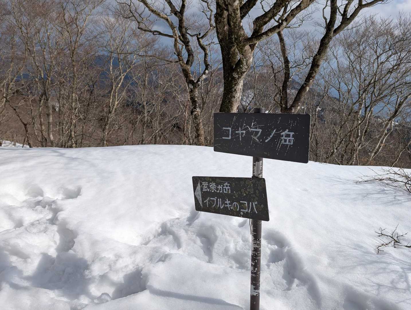 金糞峠-コヤマノ岳-武奈ヶ岳 往復コースの写真