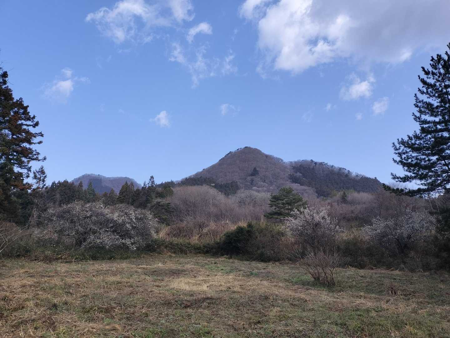 あちらへ登ります👣